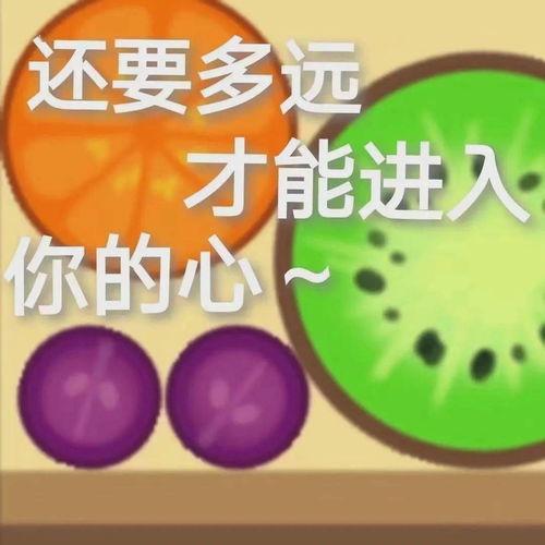 吃瓜娱乐地理,揭秘娱乐圈背后的故事与热点