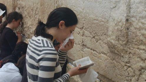 娱乐吃瓜君选秀,明星们的成长之路