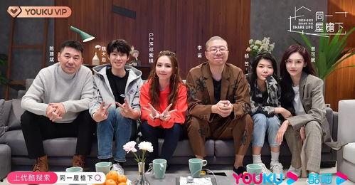 娱乐圈吃瓜党百度百科,揭秘娱乐圈背后的八卦风云