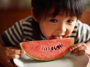 娱乐吃瓜君和二豆